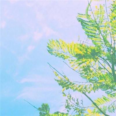萌宝挖挖挖单机游戏下载