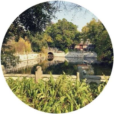 消消坦克得宝游戏下载
