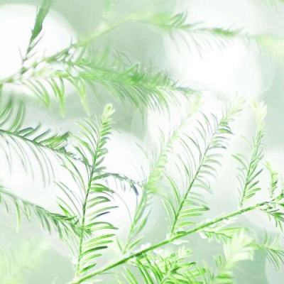 醉梦西游破解版下载