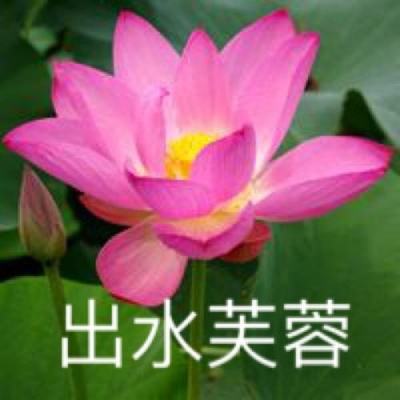 道玄山剑修最新版(暂未上线)v7.5.0 安卓版